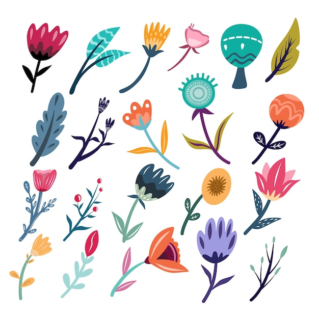 hand drawn spring botanical flower floral illustration premium vector