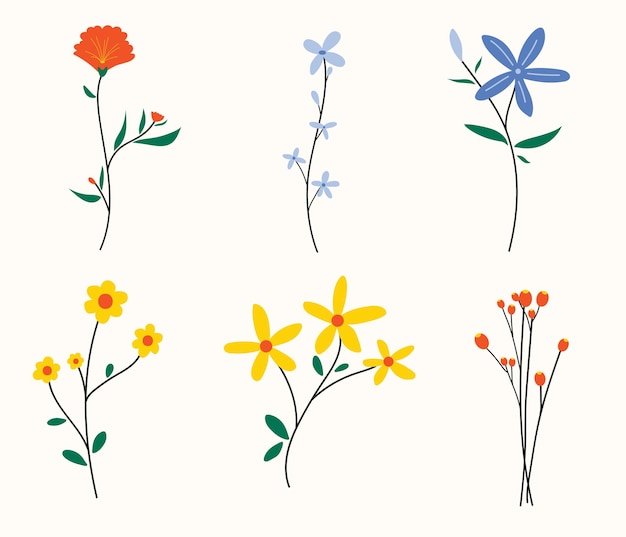 Hand drawn spring flower collection