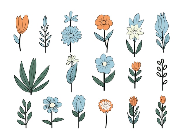 Hand Drawn Spring Flower Set Collection Vector Design