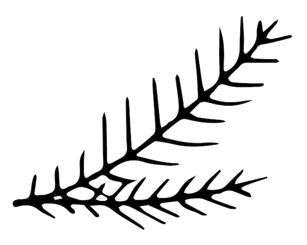 Hand drawn spruce twig Vector black and white doodle fir branch Vector illustration of Christmas tree branch