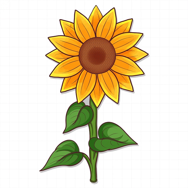 Hand drawn sunflower