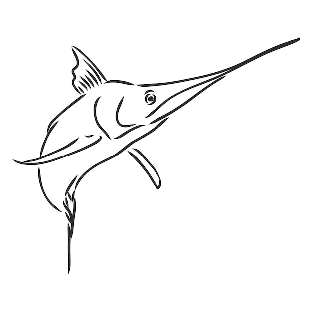 Hand drawn swordfish Vector illustration in sketch style marlin vector sketch