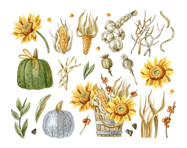 Hand drawn Thanksgiving element set with sunflowers corns pumpkins poppyseeds garlics leaves