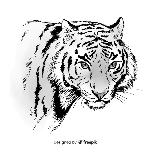 Hand drawn tiger background