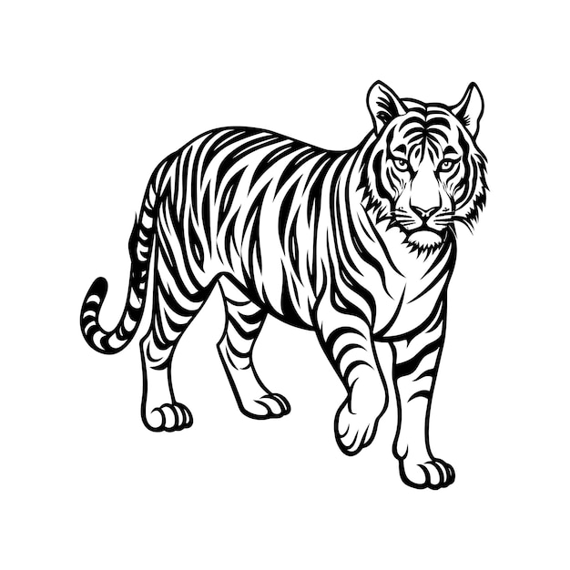 Hand drawn tiger linocut