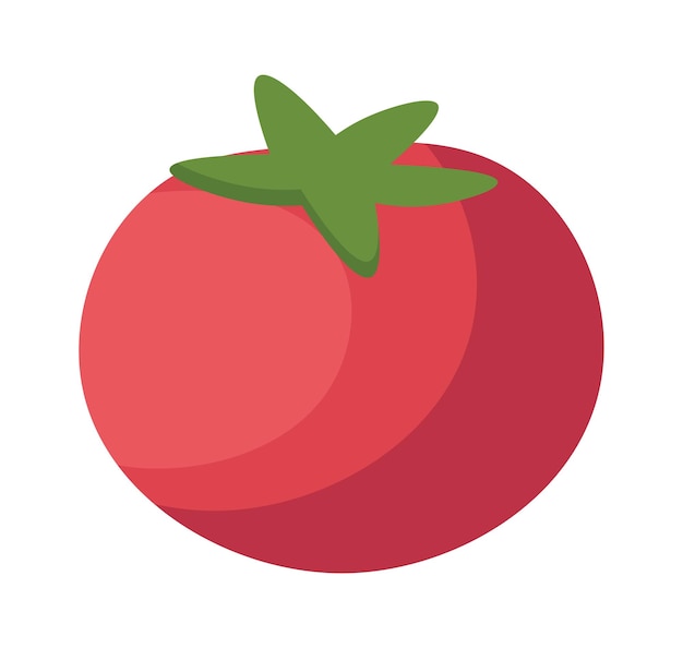 Hand drawn tomato Food icon Vector illustration