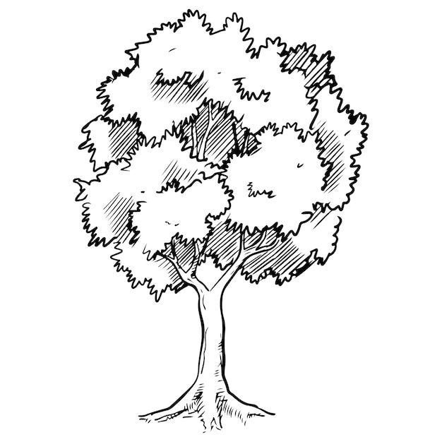 Hand drawn tree isolated on white background vector illustration