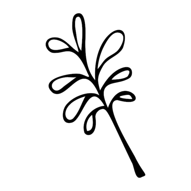 Hand drawn tree leaf illustration in doodle style