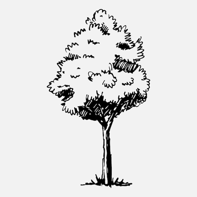 Hand drawn tree Vector isolated illustration