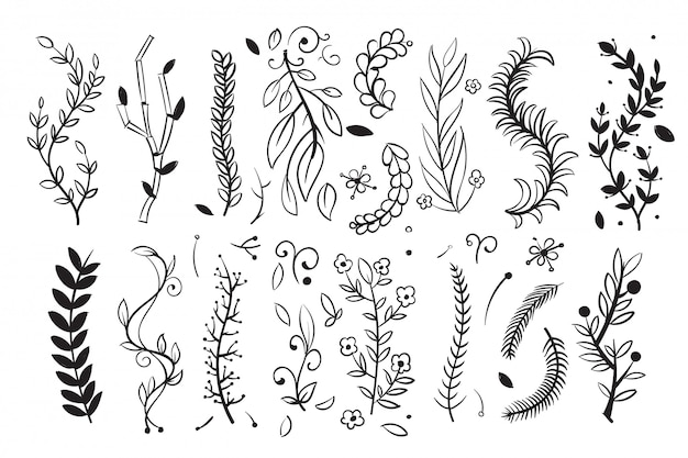 Hand drawn tree wood branches, boughs with leaves and spikes vector doodle floral design elements