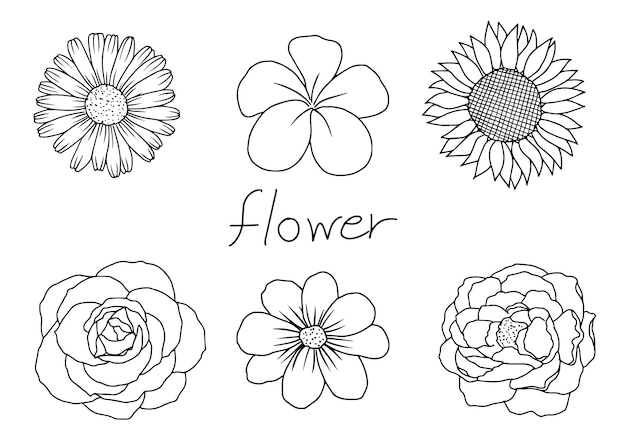 Hand drawn tropical flowers doodle clipart Botanical flowers outline black and white design elements for decorations vector