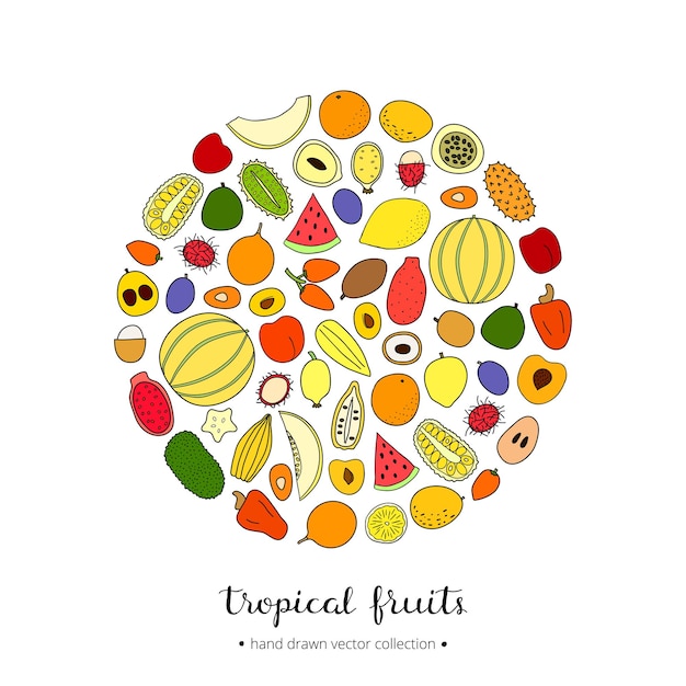 Hand drawn tropical fruits in circle