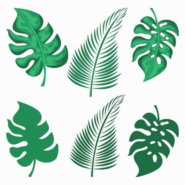 Hand drawn tropical leaf set