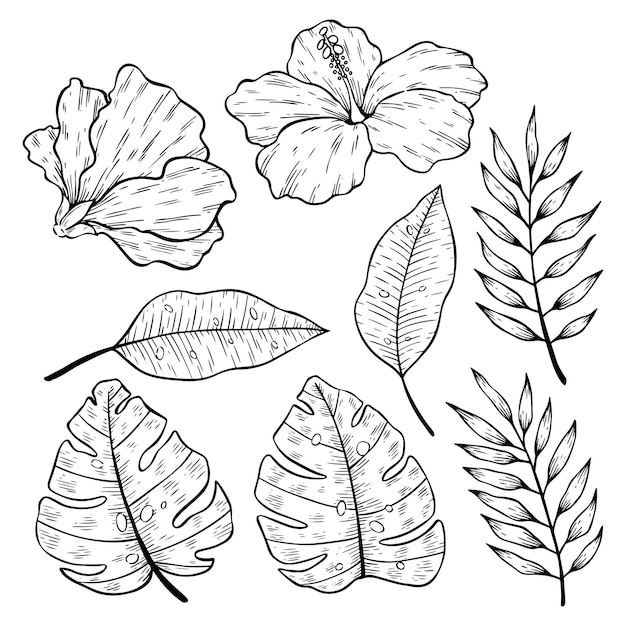 Hand Drawn Tropical Leaves And Flowers Set Botanical Collection In Sketch Style