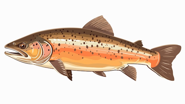 Hand Drawn Trout Fish Vector Illustration with Artistic Strokes