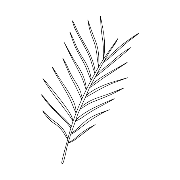 Hand drawn twig Doodle vector illustration