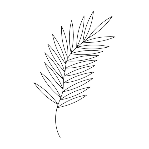 Hand drawn twig in line art doodle style Botanical decorative element