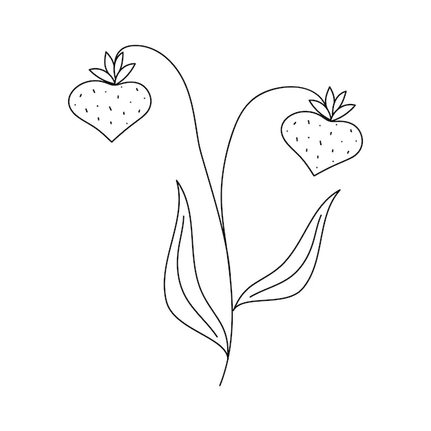 Hand drawn twig with strawberries in line art doodle style Botanical decorative element