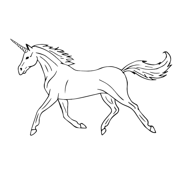 Hand drawn unicorn isolated on white background