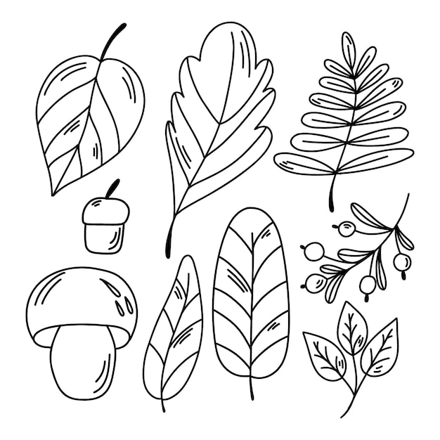 Hand drawn vector autumn leaves set