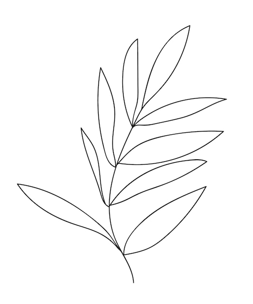 Hand drawn vector branch with leaves Doodle branch flower