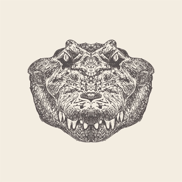 Hand drawn vector of crocodile Illustration.