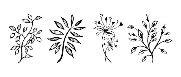 Hand drawn vector design floral elements