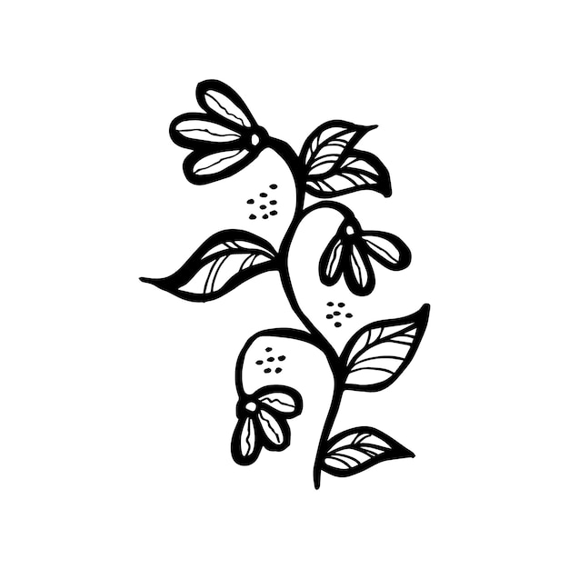 Hand drawn vector design floral elements