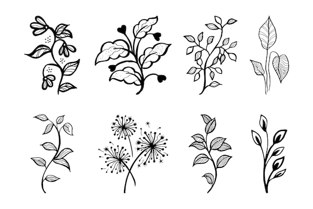 Hand drawn vector design floral elements