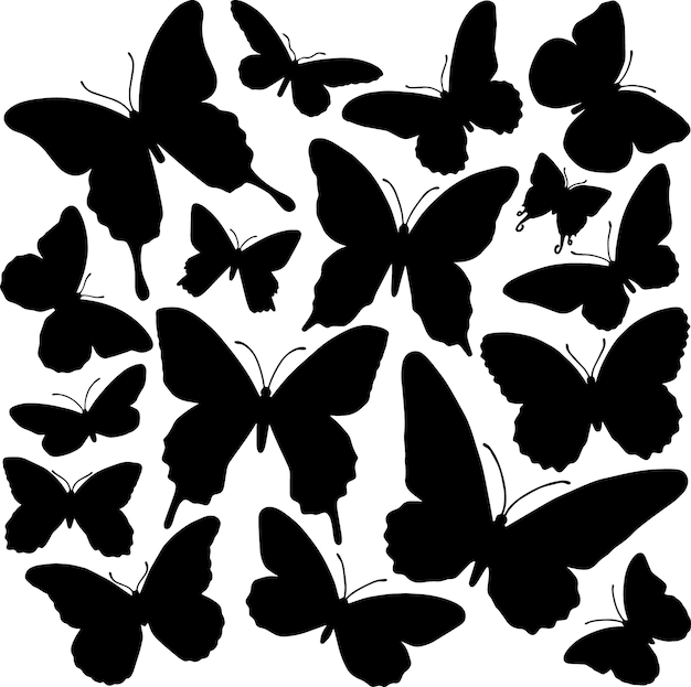 Hand drawn vector illustration of black butterfly silhouette Line art of insects