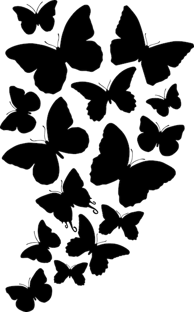 Hand drawn vector illustration of black butterfly silhouette Line art of insects