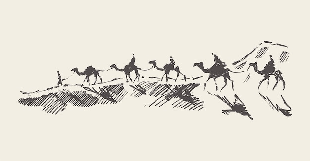 Hand drawn vector illustration of Caravan of camels in desert