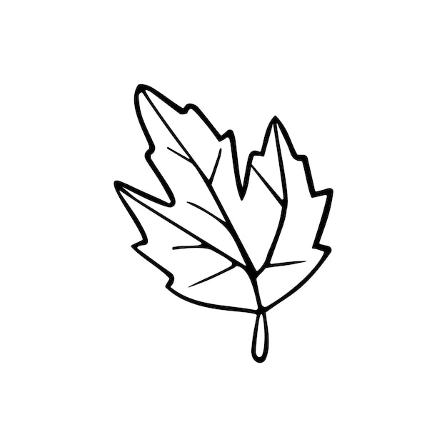 Hand drawn vector illustration of hop leaf