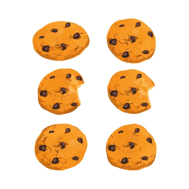 Hand drawn vector illustration of pumpkin cookies with chocolate chips on it