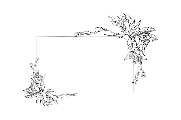 Hand drawn vector ink orchid flowers and branches monochrome detailed outline Horizontal frame composition Isolated on white background Design for wall art wedding print tattoo cover card