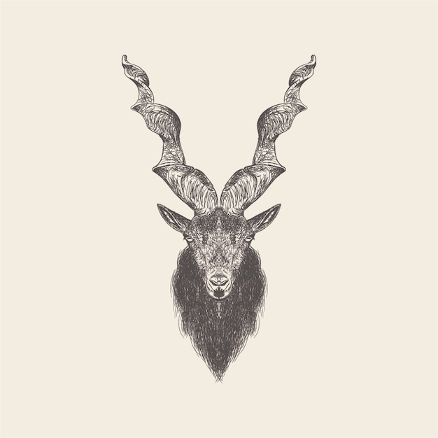 Hand drawn vector of markhor Illustration.