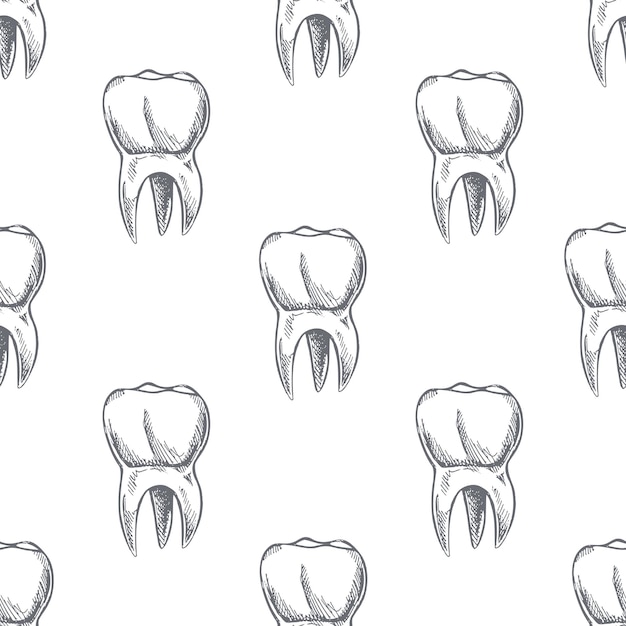 Hand drawn vector seamless pattern of teeth on white background