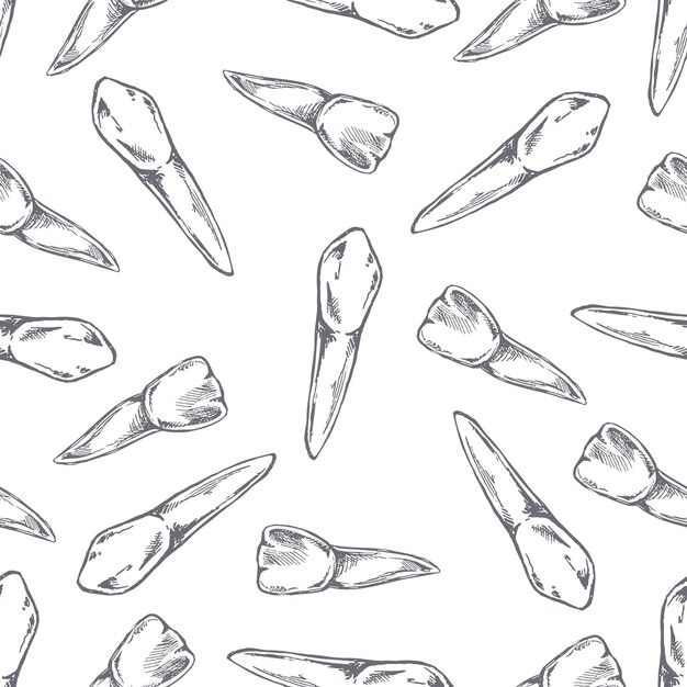 Hand drawn vector seamless pattern of teeth on white background