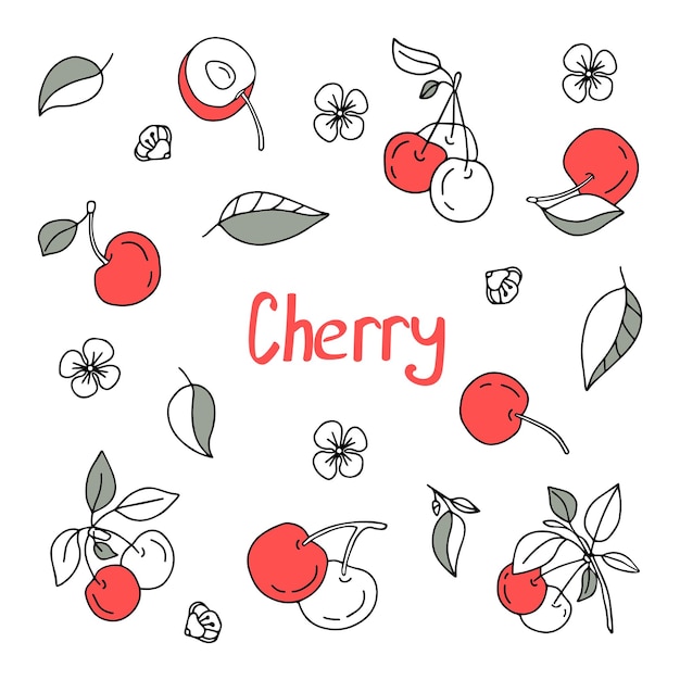 Hand drawn vector set cherry Isolated on a white background