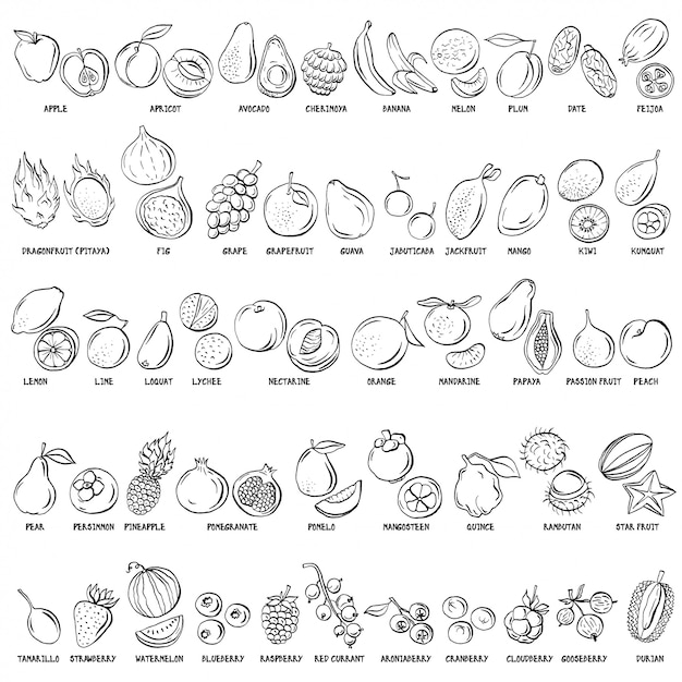 Hand drawn vector set of fruits and berries vintage illustrations.