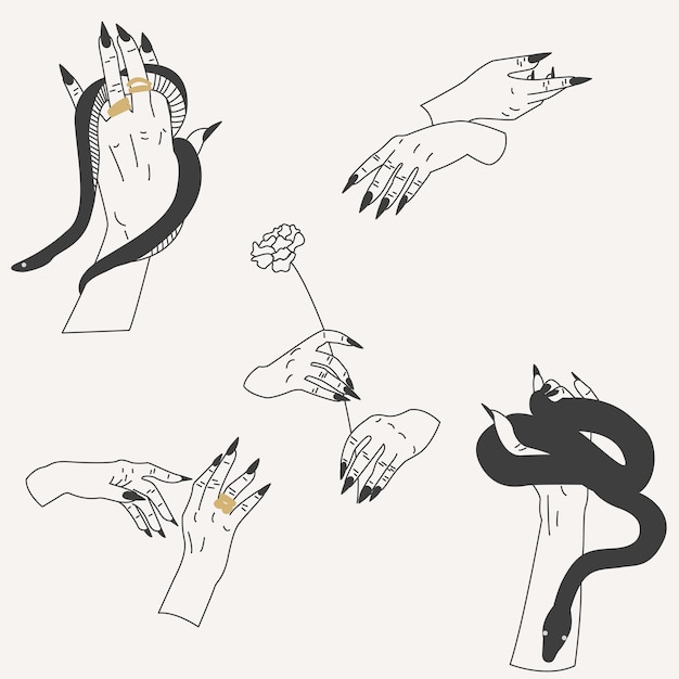 Hand drawn vector set of witches hands in different poses Hands with snakes