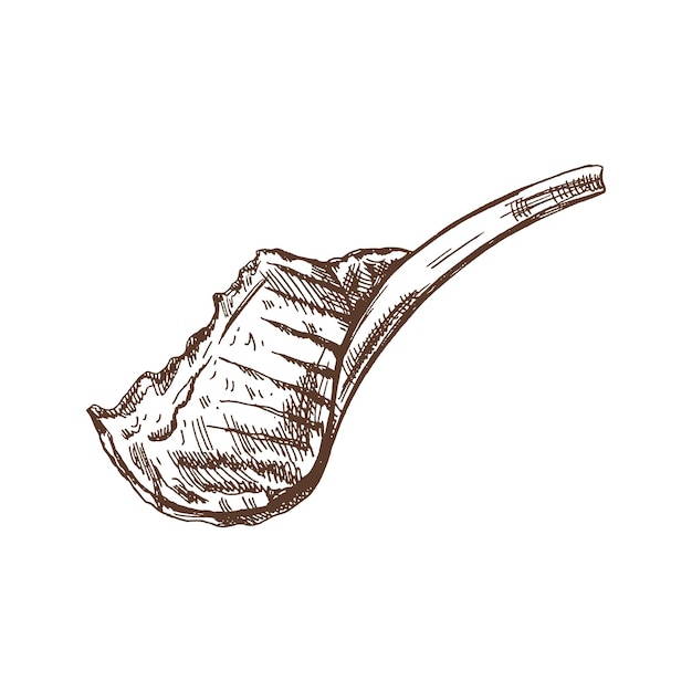 Hand drawn vector sketch of beef steak piece of meat on the bone isolated on white background