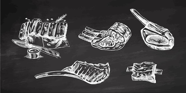 Vector hand drawn vector sketches of pork ribs beaf lamb ribs piece of meat set on chalkboard background