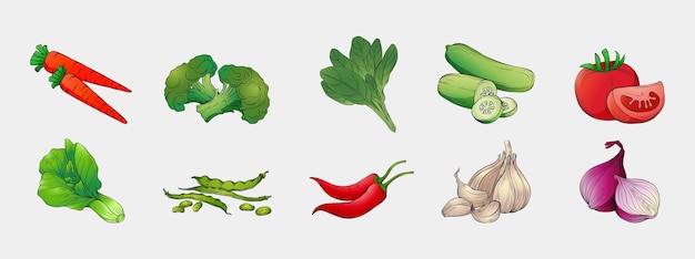 Hand drawn Vegetables collection Free Vector