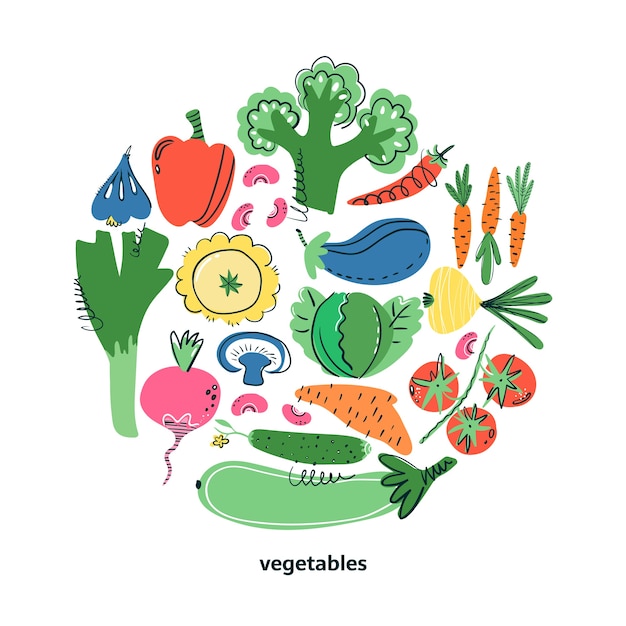 Hand drawn vegetables  set. Vegetables in round composition