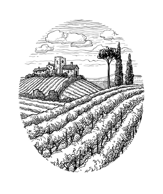 Hand drawn vineyard landscape Ink sketch isolated on white background Vintage style illustration