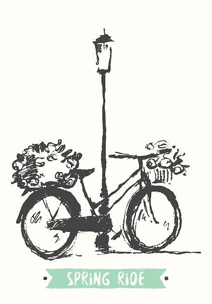 Hand drawn vintage bicycle, vector illustration, sketch