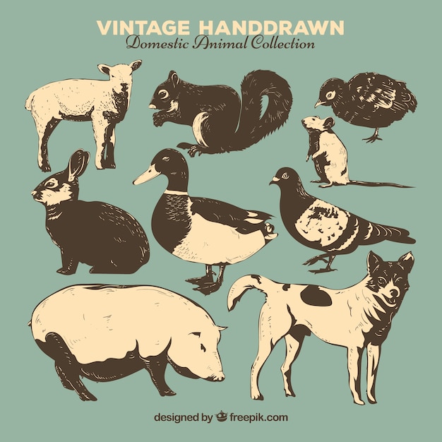 Vector hand drawn vintage collection of animals