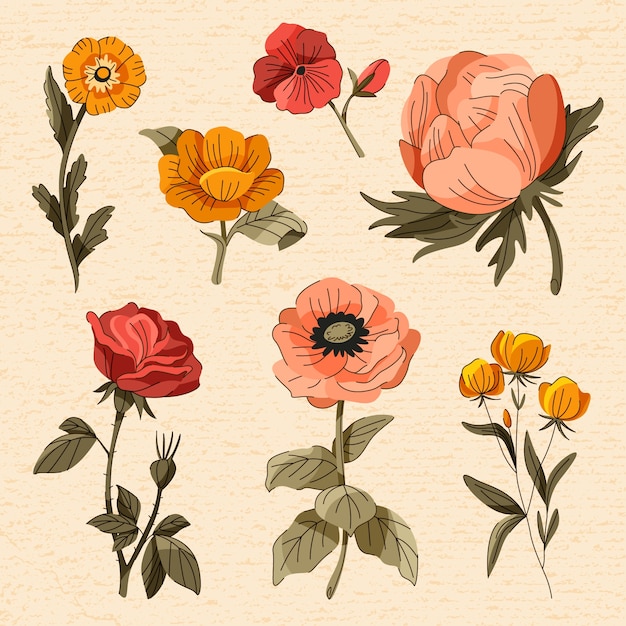 Hand drawn vintage floral illustration