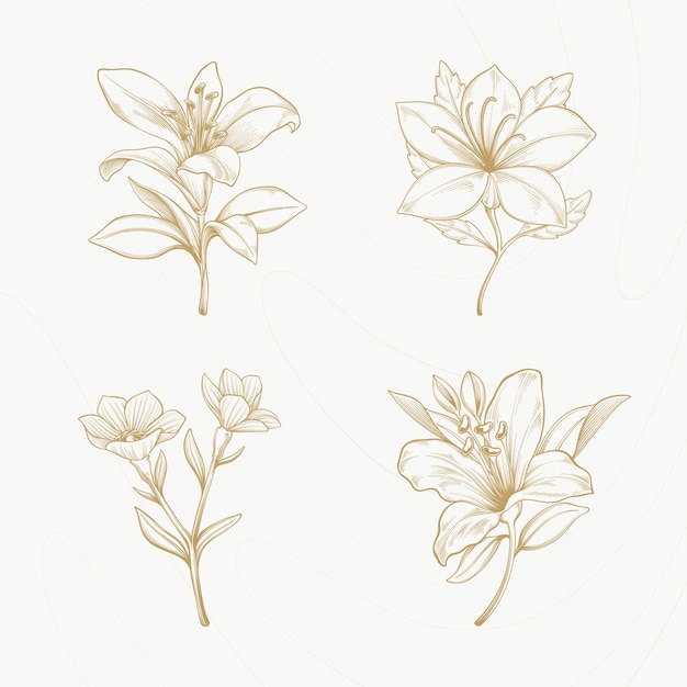 Hand drawn vintage flowers illustration